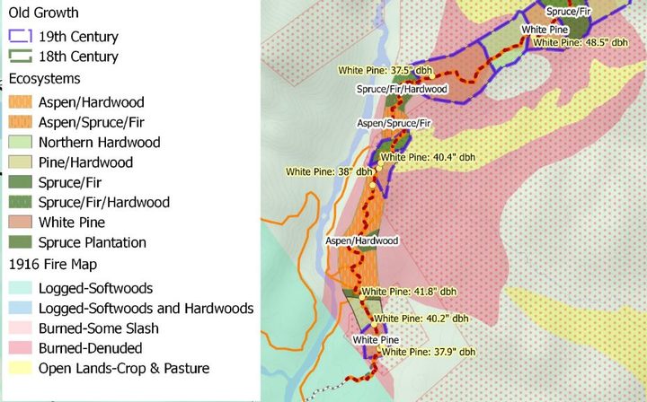Map of forest ecosystems and old-growth stands