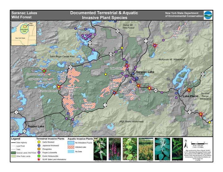 Map of documented terrestrial and aquatic invasive plant species in the Saranac Lakes Wild Forest